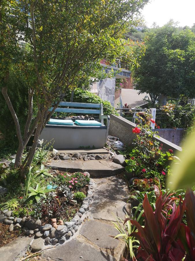 Casa-Albatros Villa Ponta do Sol  Eksteriør bilde